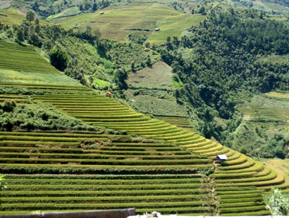 Autumn beauty in mountainous terraced fields